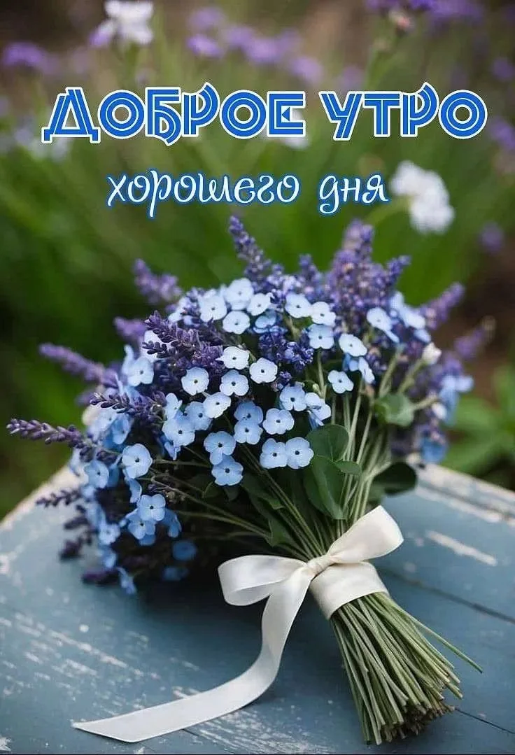Доброе утро друзья 🌞