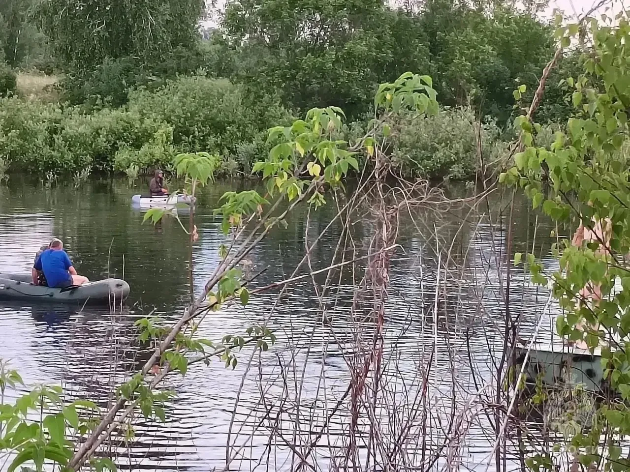 😱🚤 В Алтайском крае перевернулась лодка с детьми: есть погибшие

В Кытмановском районе на озере Ли