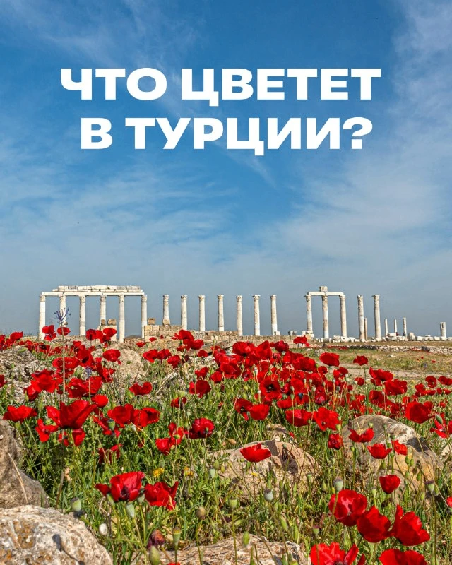Турция — это не только море и отели 🇹🇷

Некоторые туристы впервые приезжают в Турцию ради пляжей, 