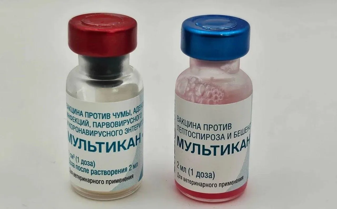 У смертельной вакцины «Мультикан-8», от которой погибли более 300 домашних животных, бы...