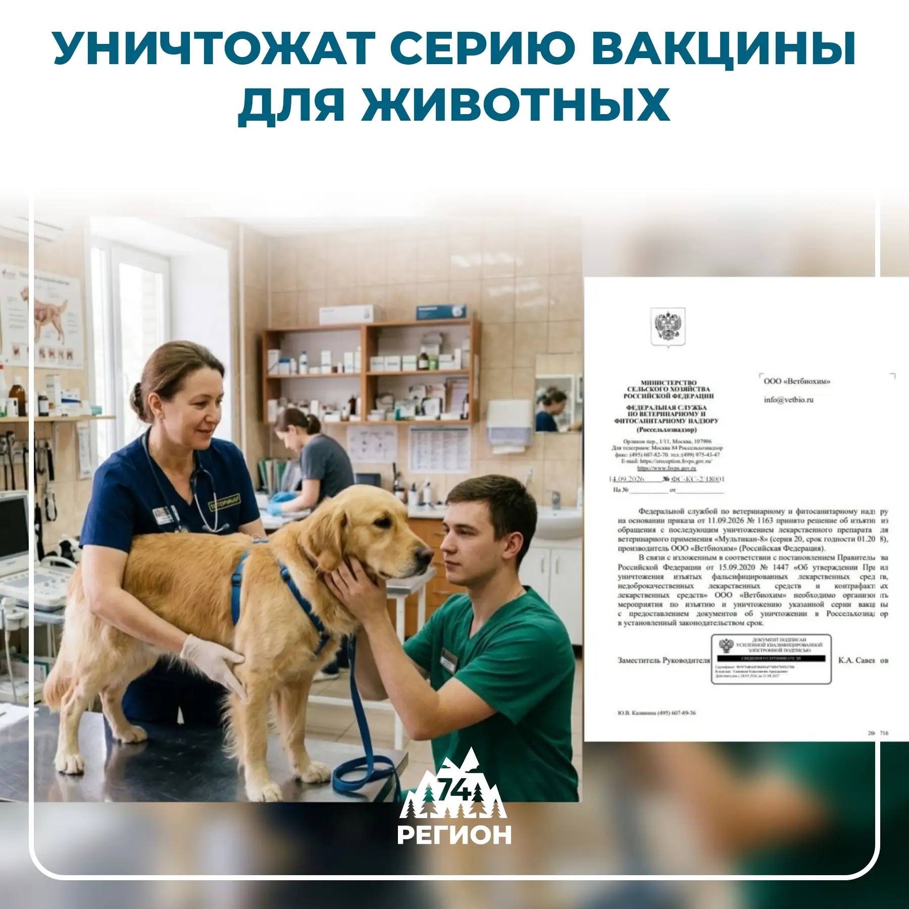 🐶 Россельхознадзор изымает из продажи партию вакцины для собак