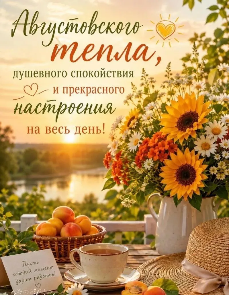 #цитата_дня