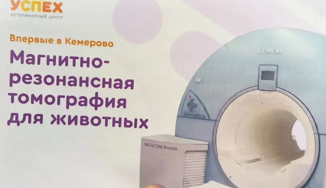 Отвечаю вопрос про КТ и МРТ в Кемерово аппараты находятся по адресу по. советский 2/8