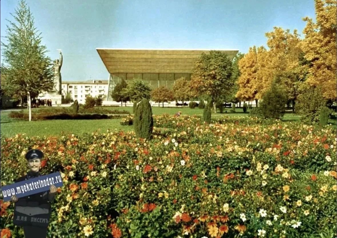 🍂 Краснодарской осени образца 1977 года вам в ленту