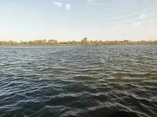 😱В Астрахани подросток на куске пенопласта едва не утонул в Волге

Инцидент произошел на острове Го