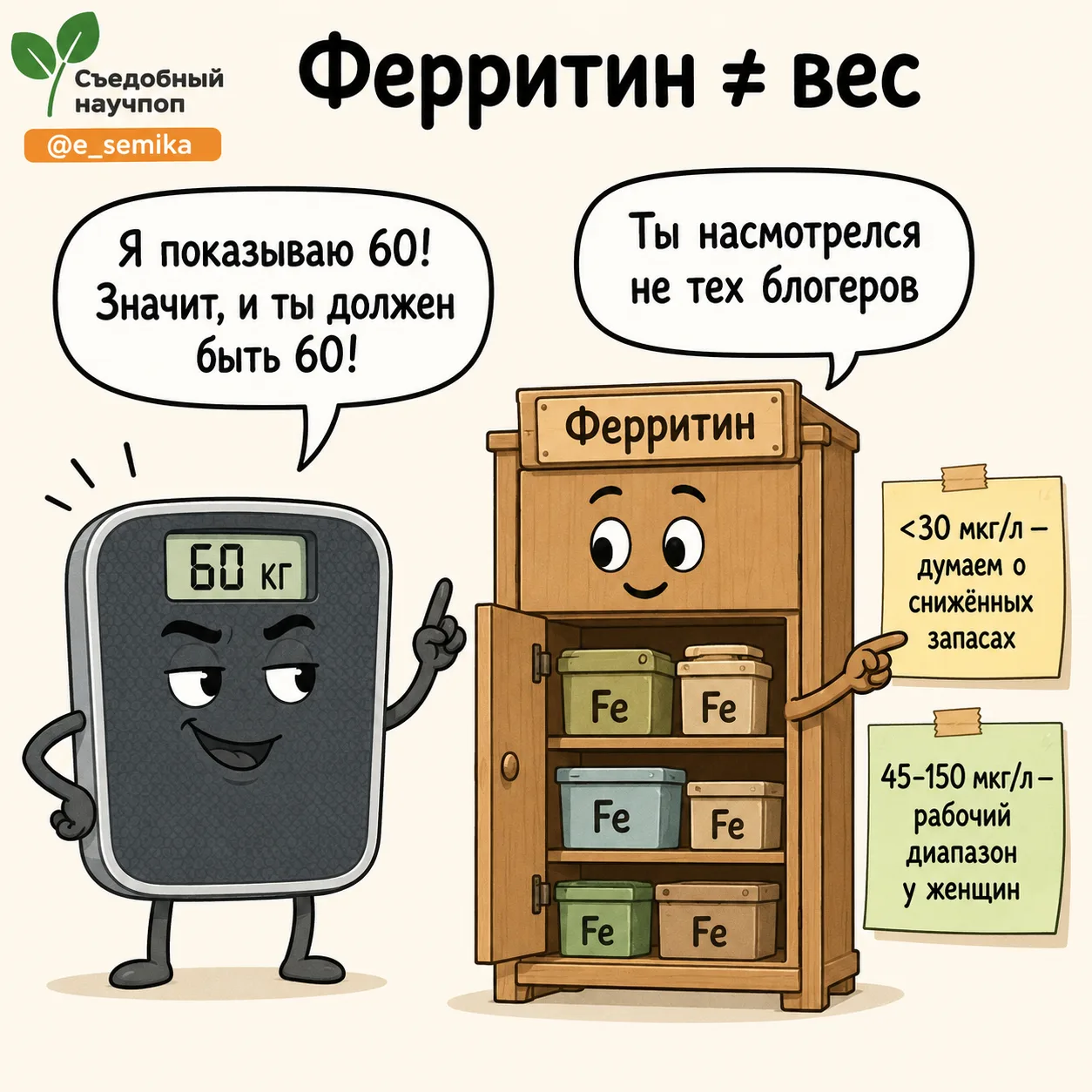 Правда, что ферритин у женщин должен быть равен весу?