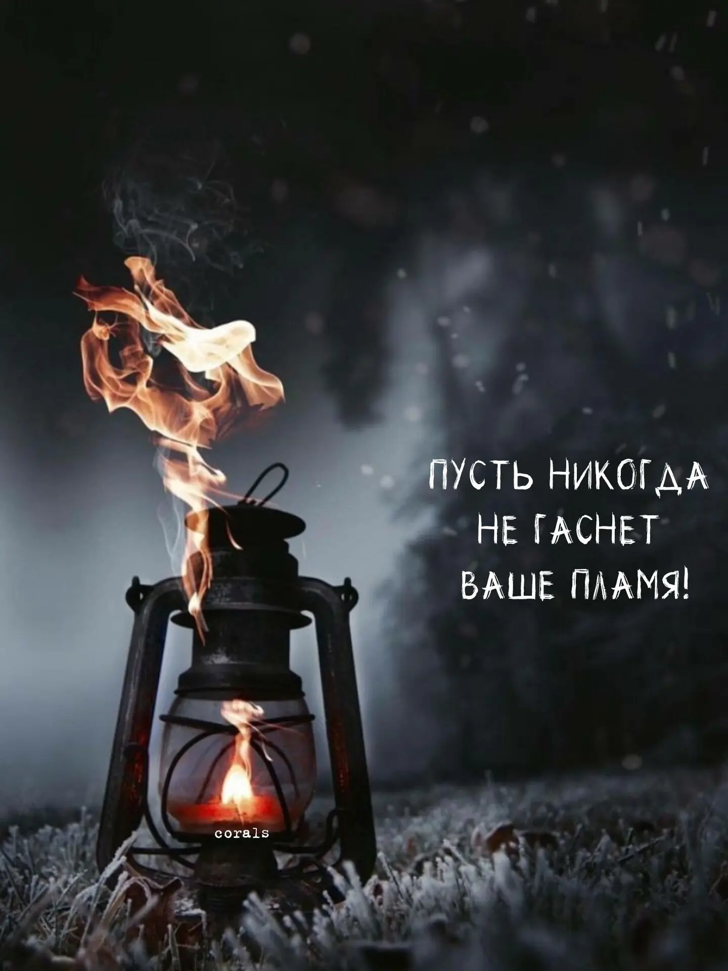 🇷🇺  Мы в МАХ : https://max.ru/dusha_angela_new