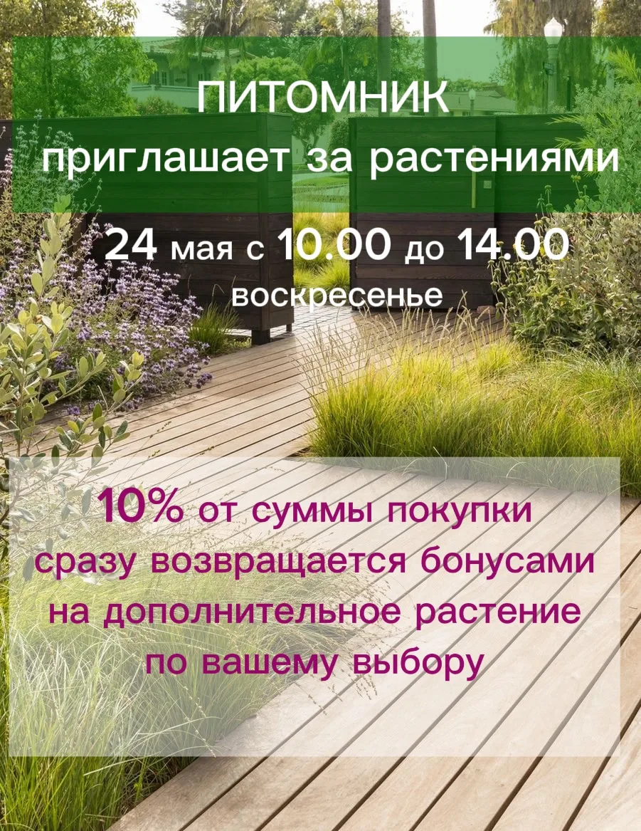 А сейчас и второе предложение:
