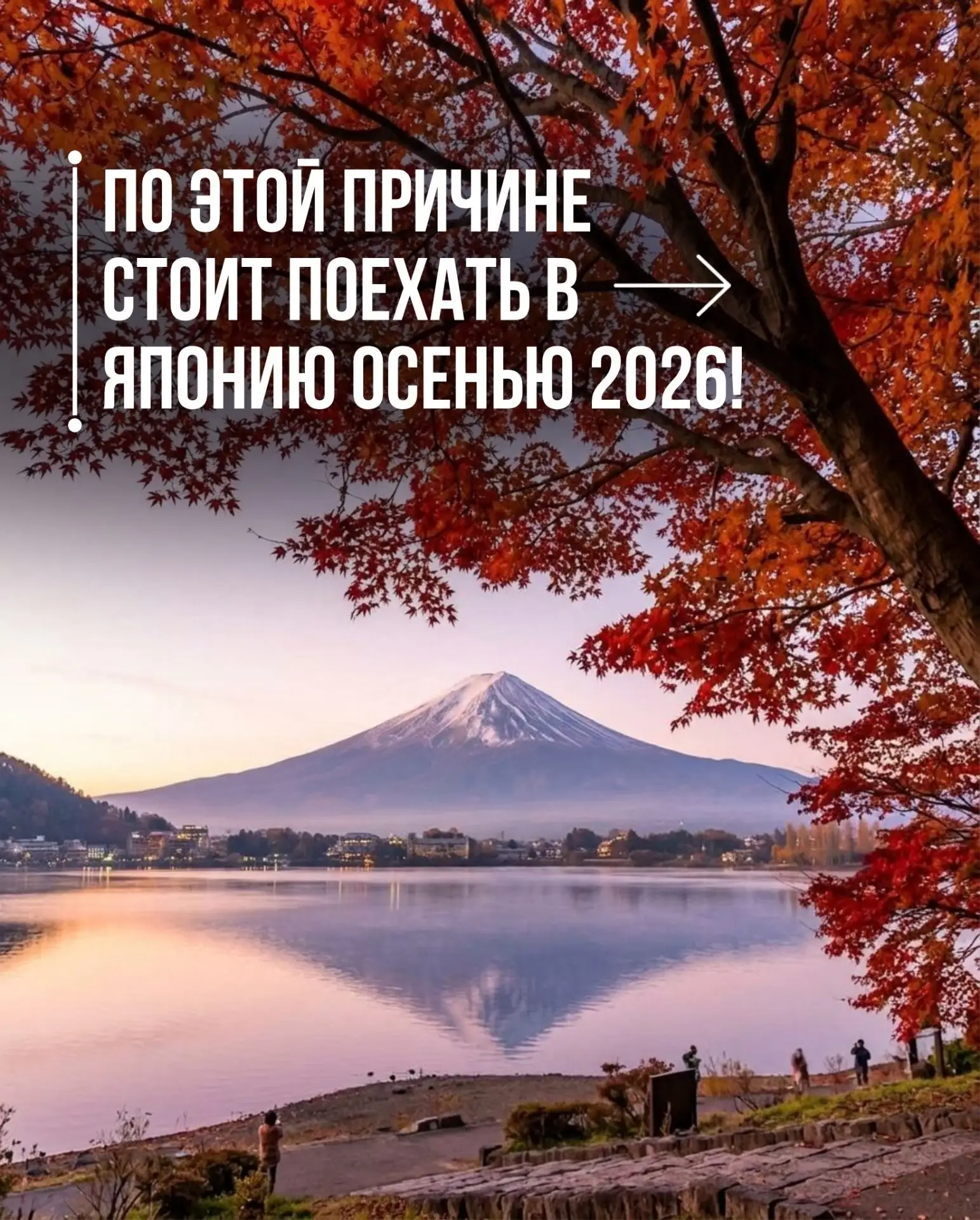 Сезон момидзи 2026: любуемся Японией в красных кленах 👆