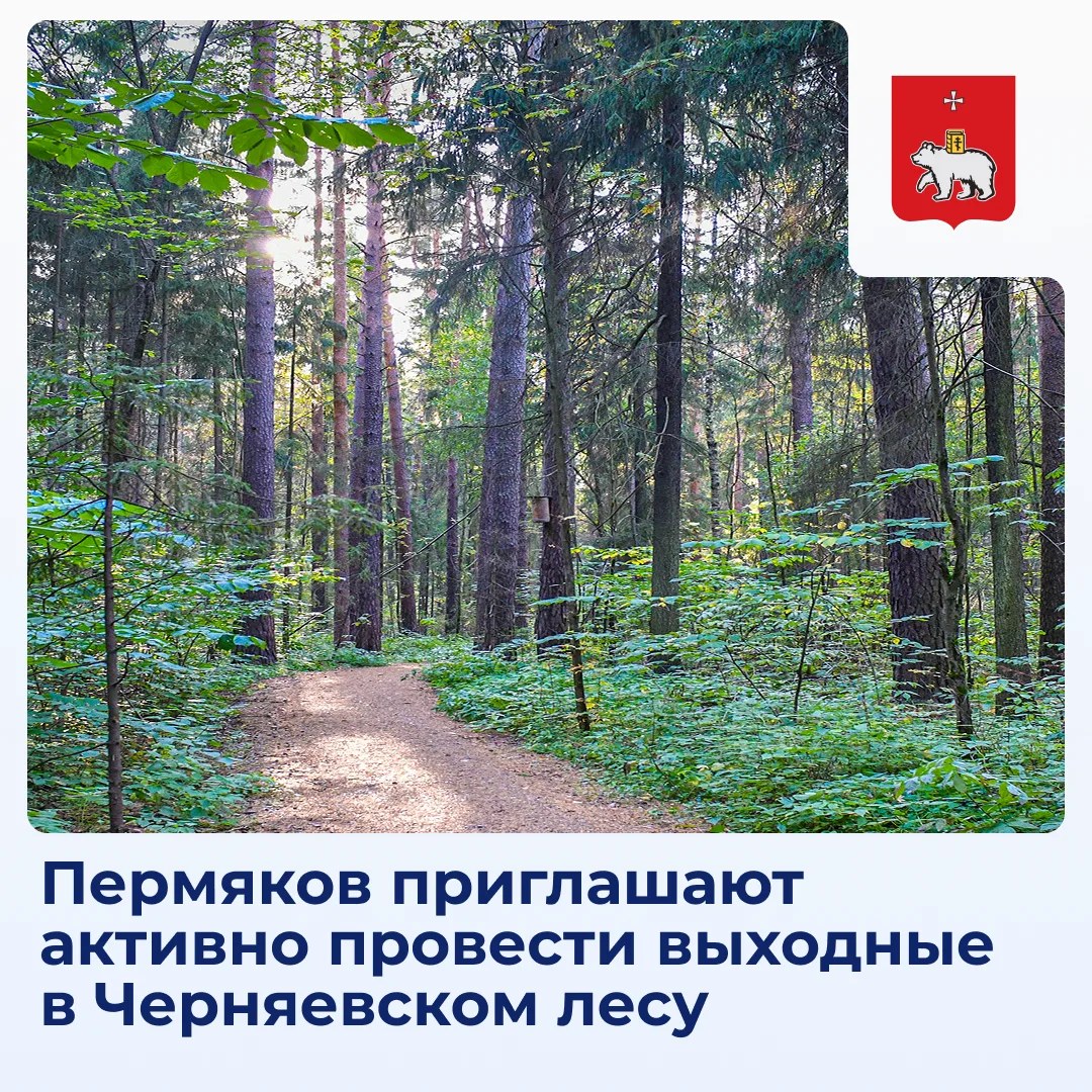 Август уже намекает нам о скорой осени, но мы не грустим! Ловим последние тёплые деньки...
