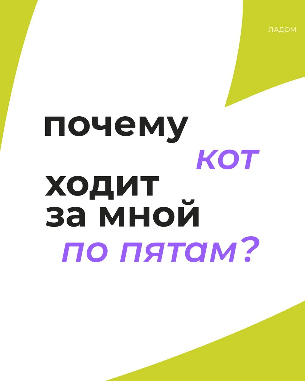 понятие "личные границы" в оотношениях с кошачьими работает только в одну пользу (не в ...