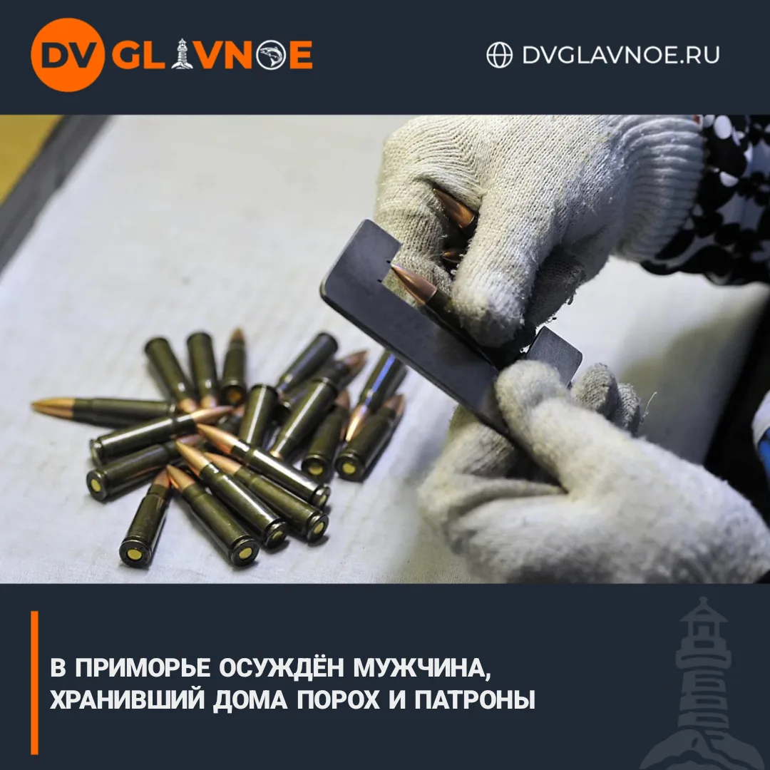 Житель Приморья получил 7,5 лет строгого режима за изготовление патронов