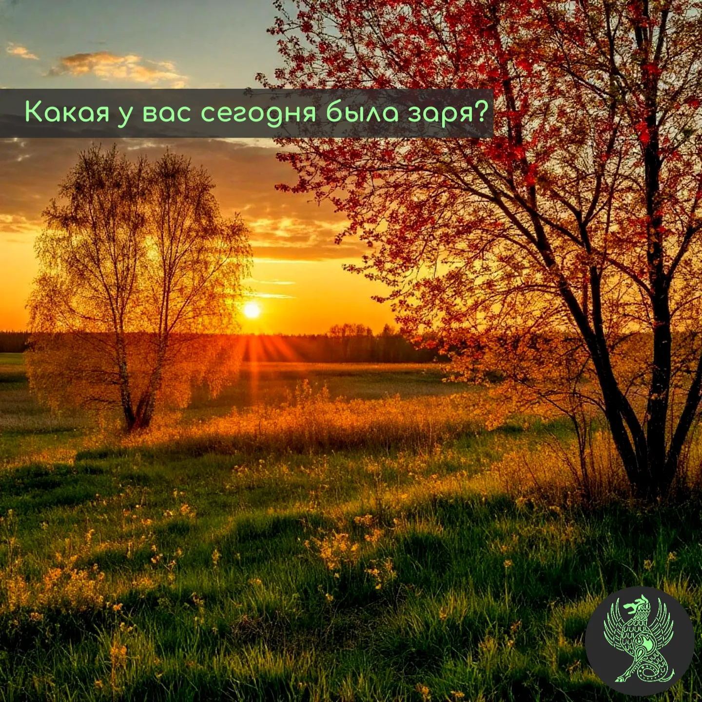 Какая у вас сегодня была заря?