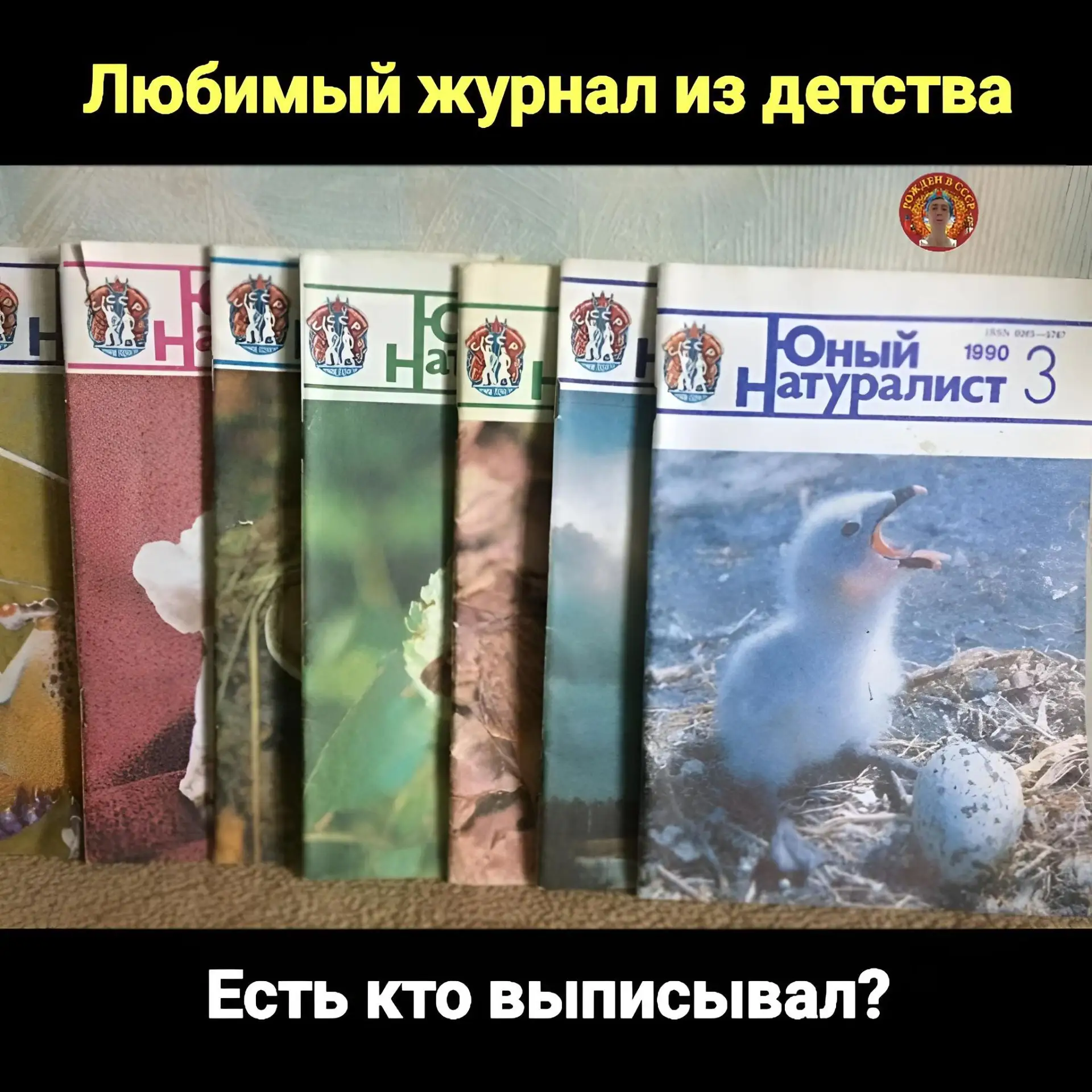 «„Юный натуралист“: окно в мир живой природы»