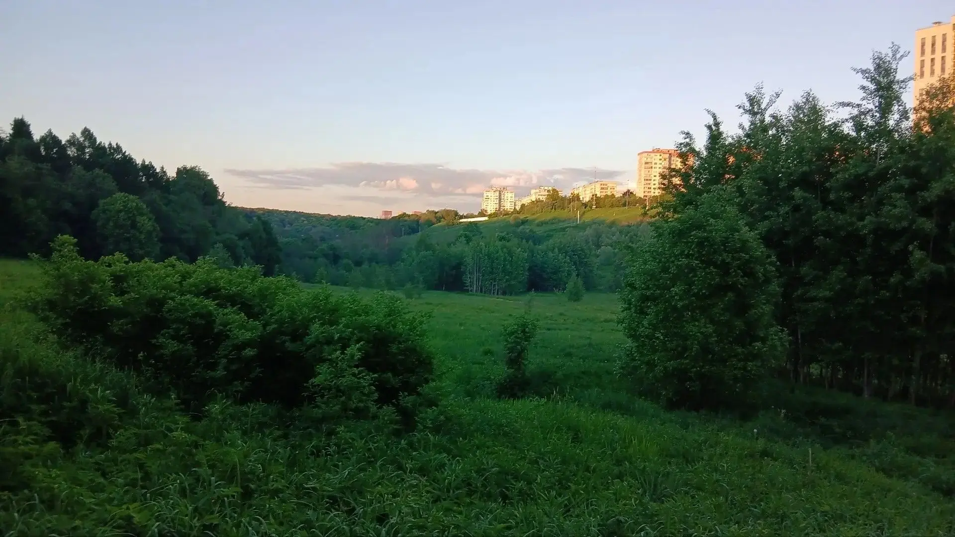 🧭 «Ориентир» вышел на маршрут!  🌲 Обучающиеся 5-6-х классов и участники Школьного туристического клу