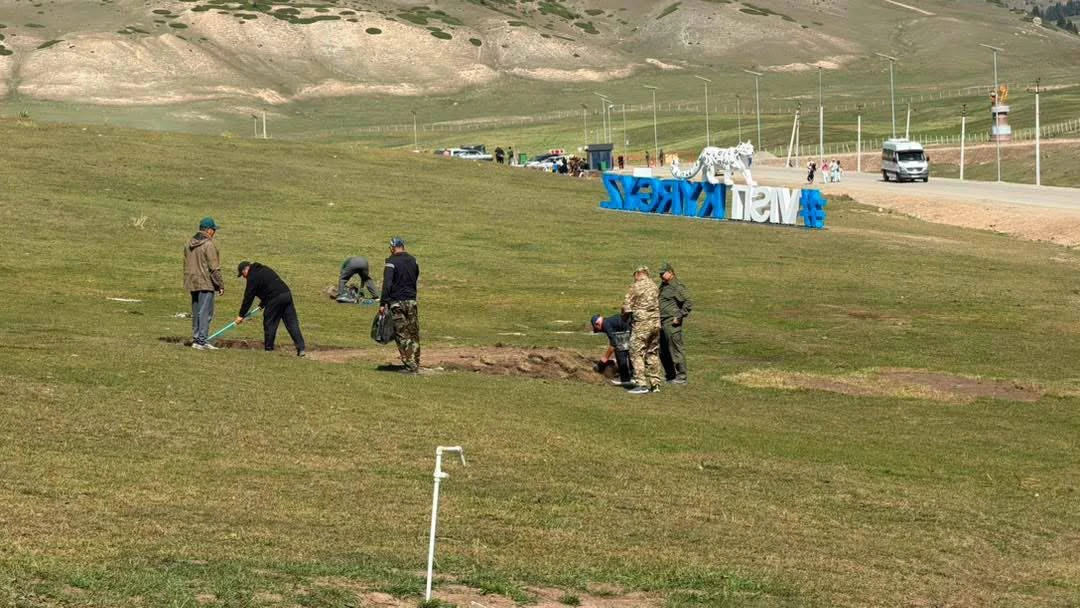 В Кырчыне засеяли многолетний газон