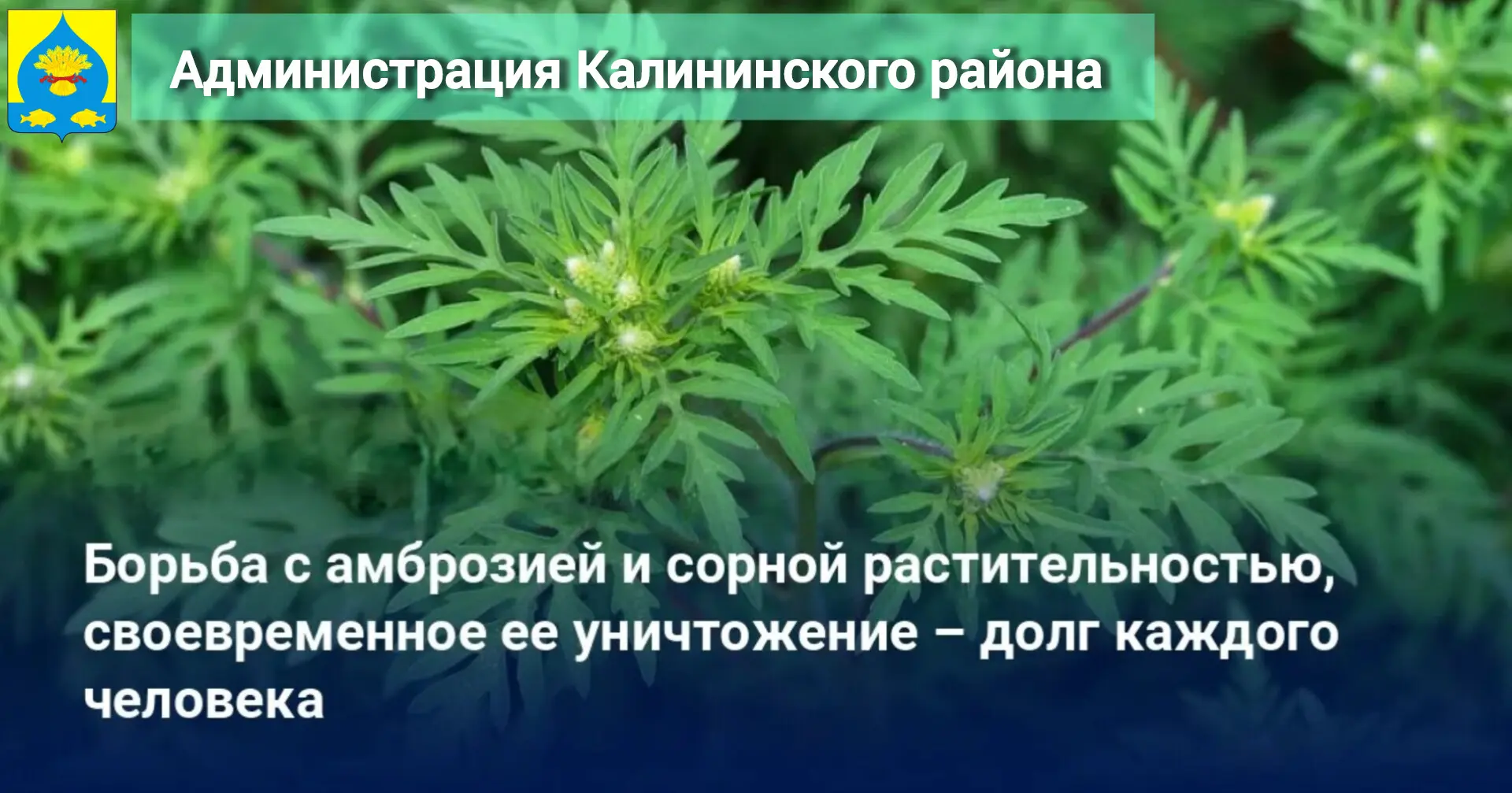 Уважаемые жители Калининского района!