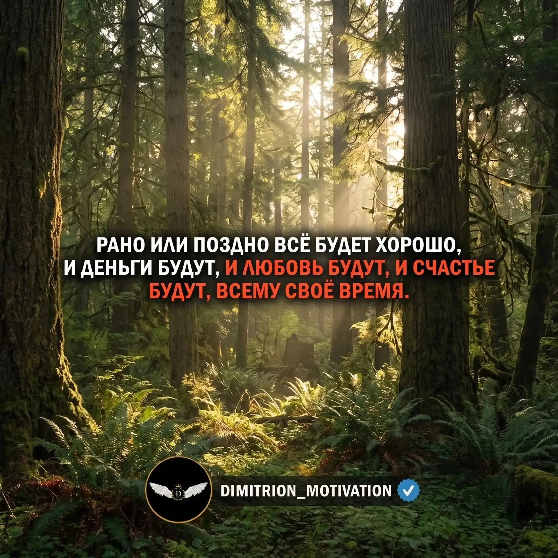 Так и есть🔥