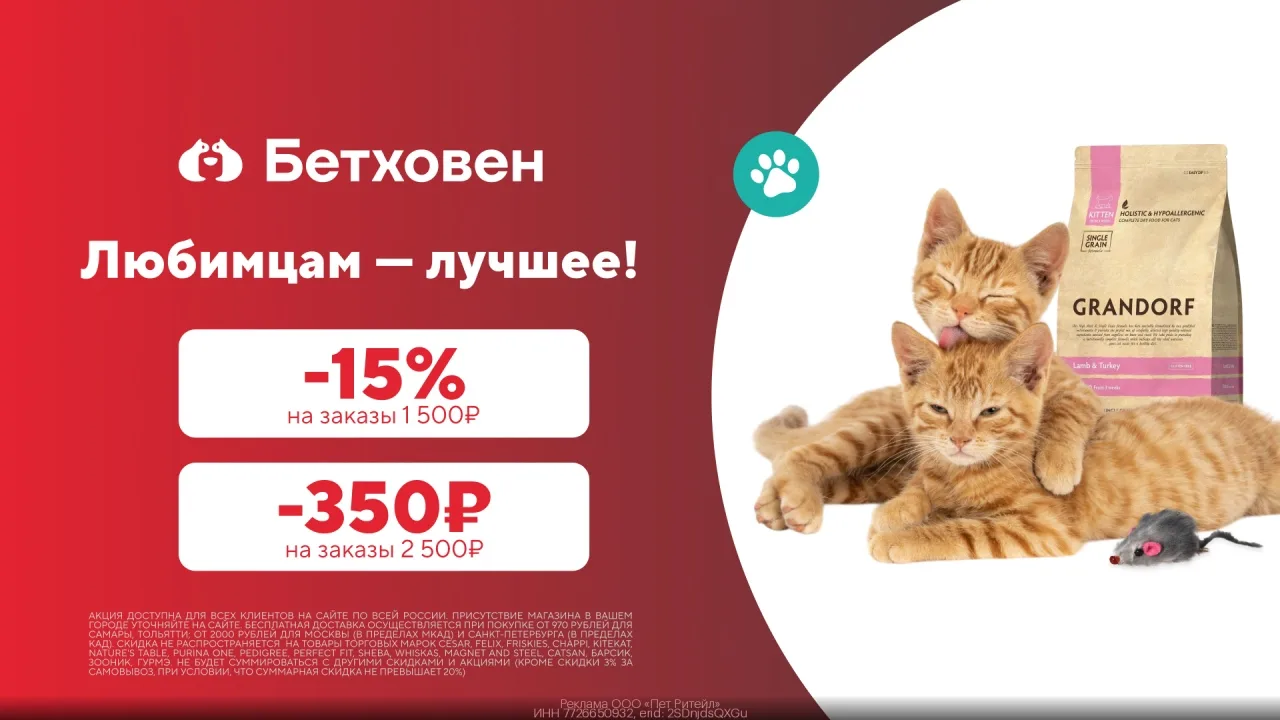 ☑ Все Промокоды [контакт скрыт] ☑

Промокод Бетxовен — скидка 15% на заказы от 1500 ₽!

👉 ПPОМOКOД: