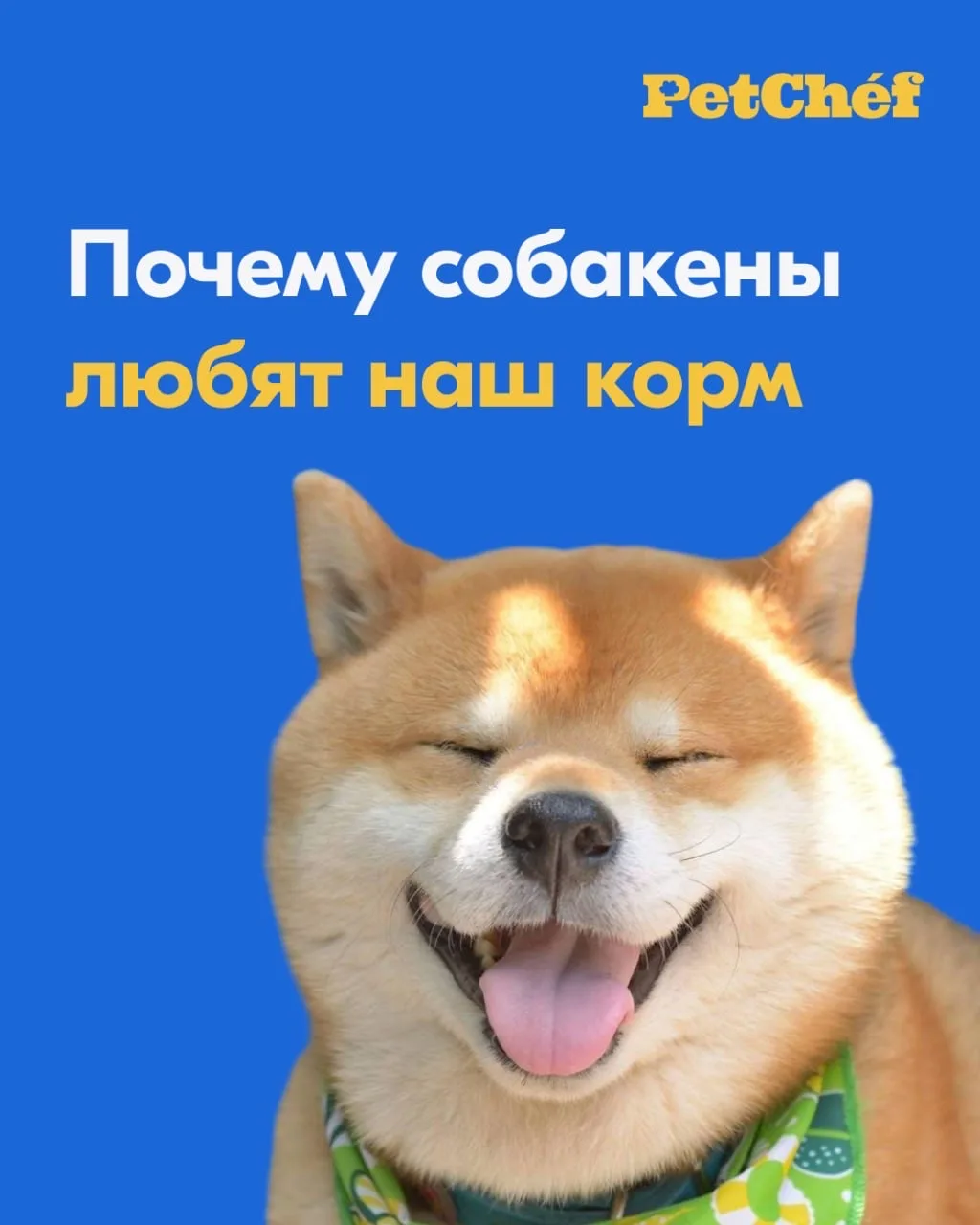 Гастрономическое удовольствие ваших питомцев — в наших руках 🙌