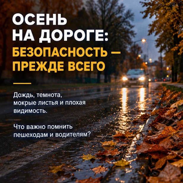 🍂 Осенью дорога требует особого внимания.