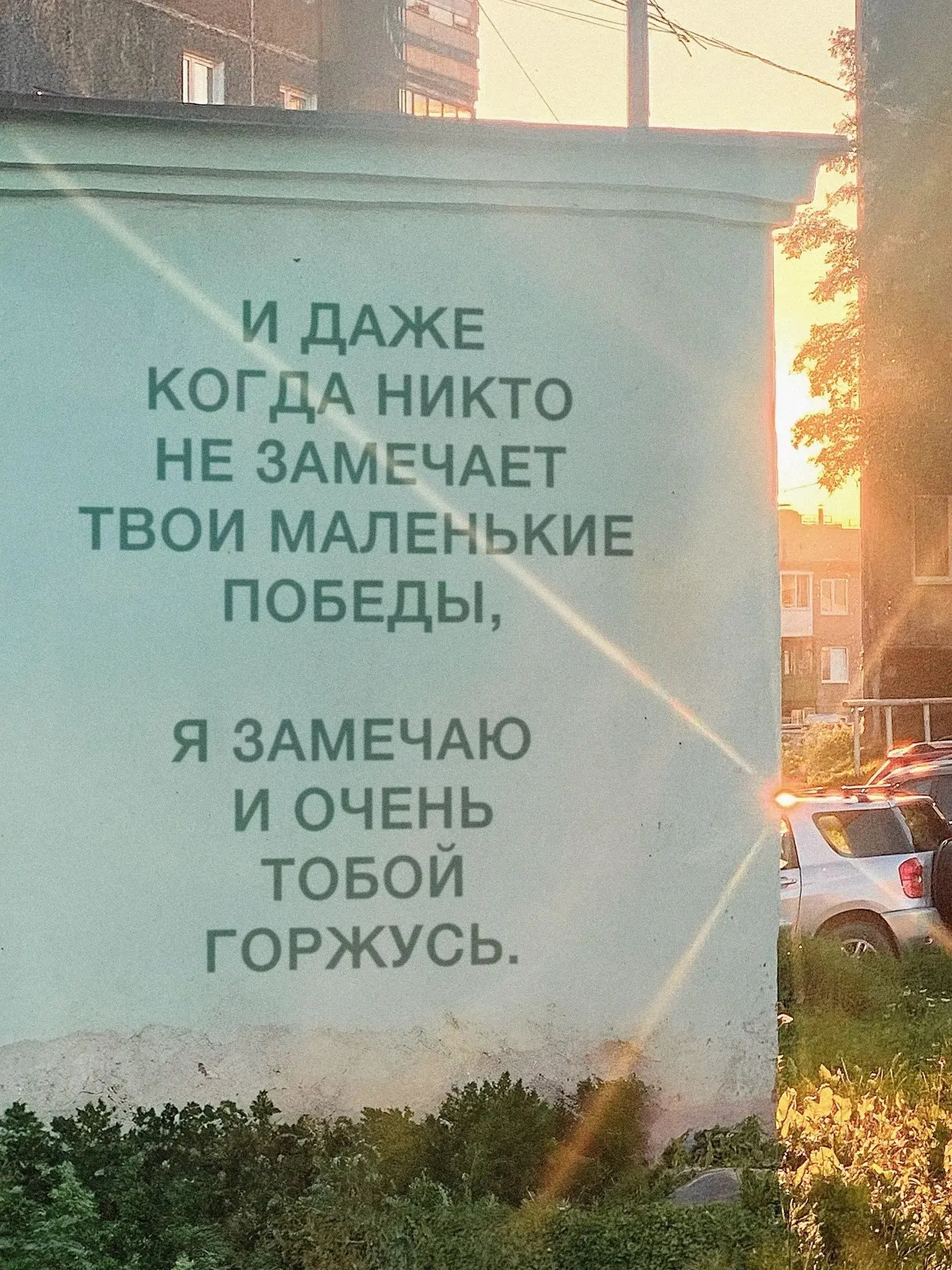 🧠 Познание себя