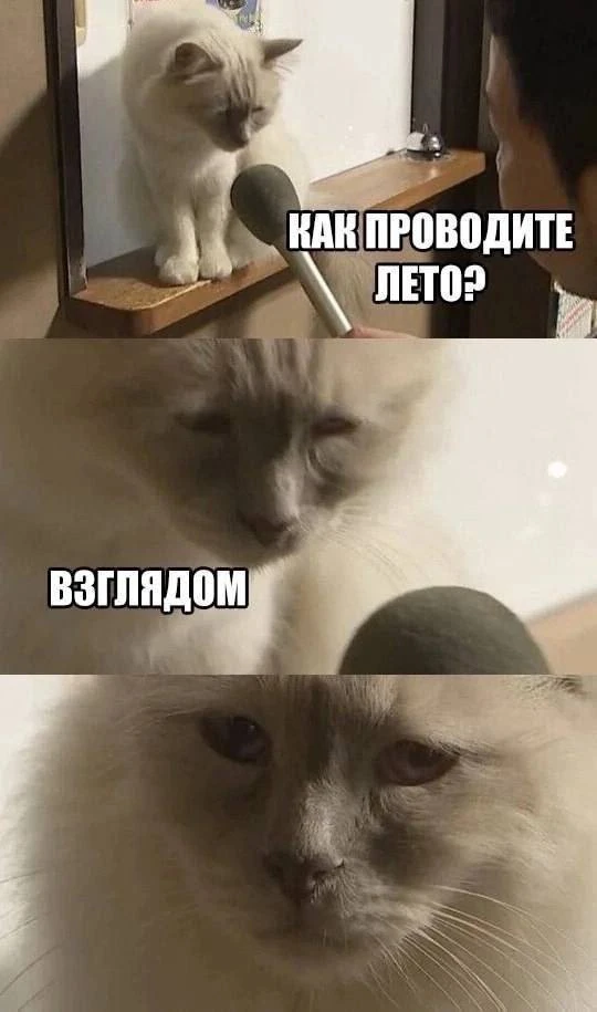А вы как проводите лето? 🥲