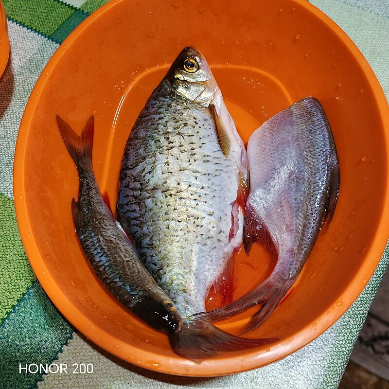 Отчет из приложения