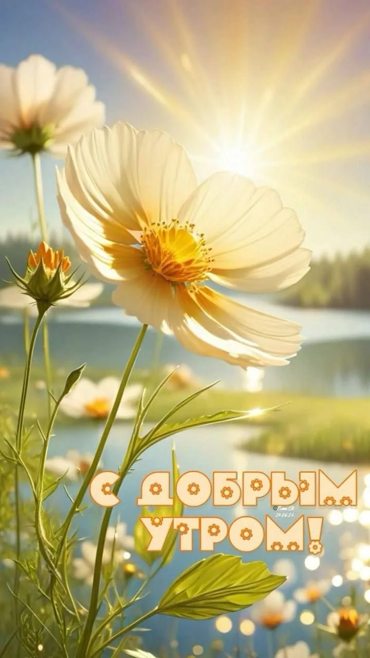 #доброеутро