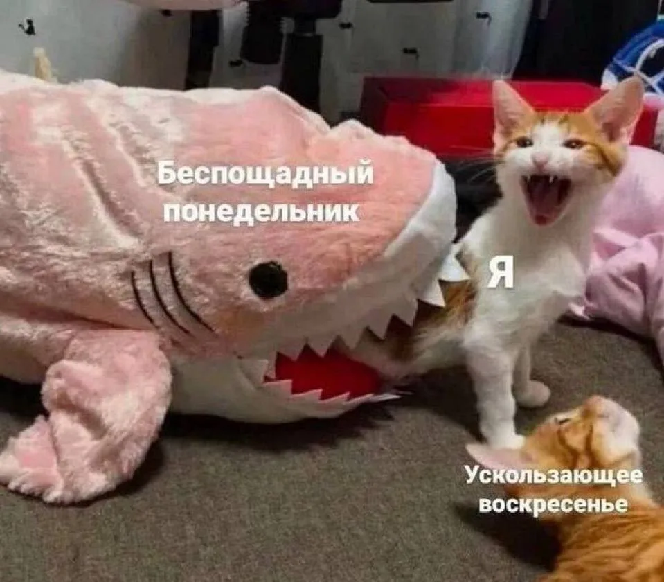 Да😭