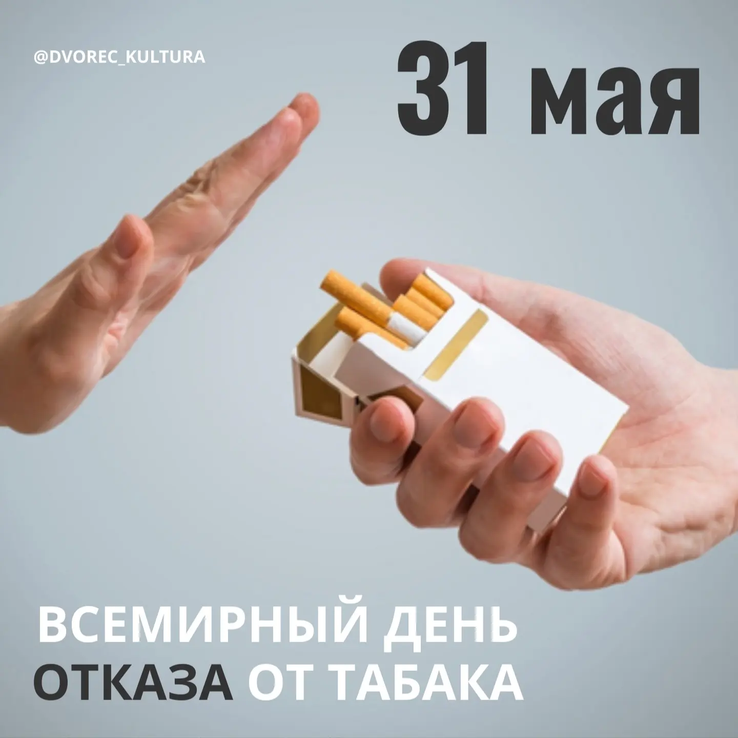 Дорогие друзья!