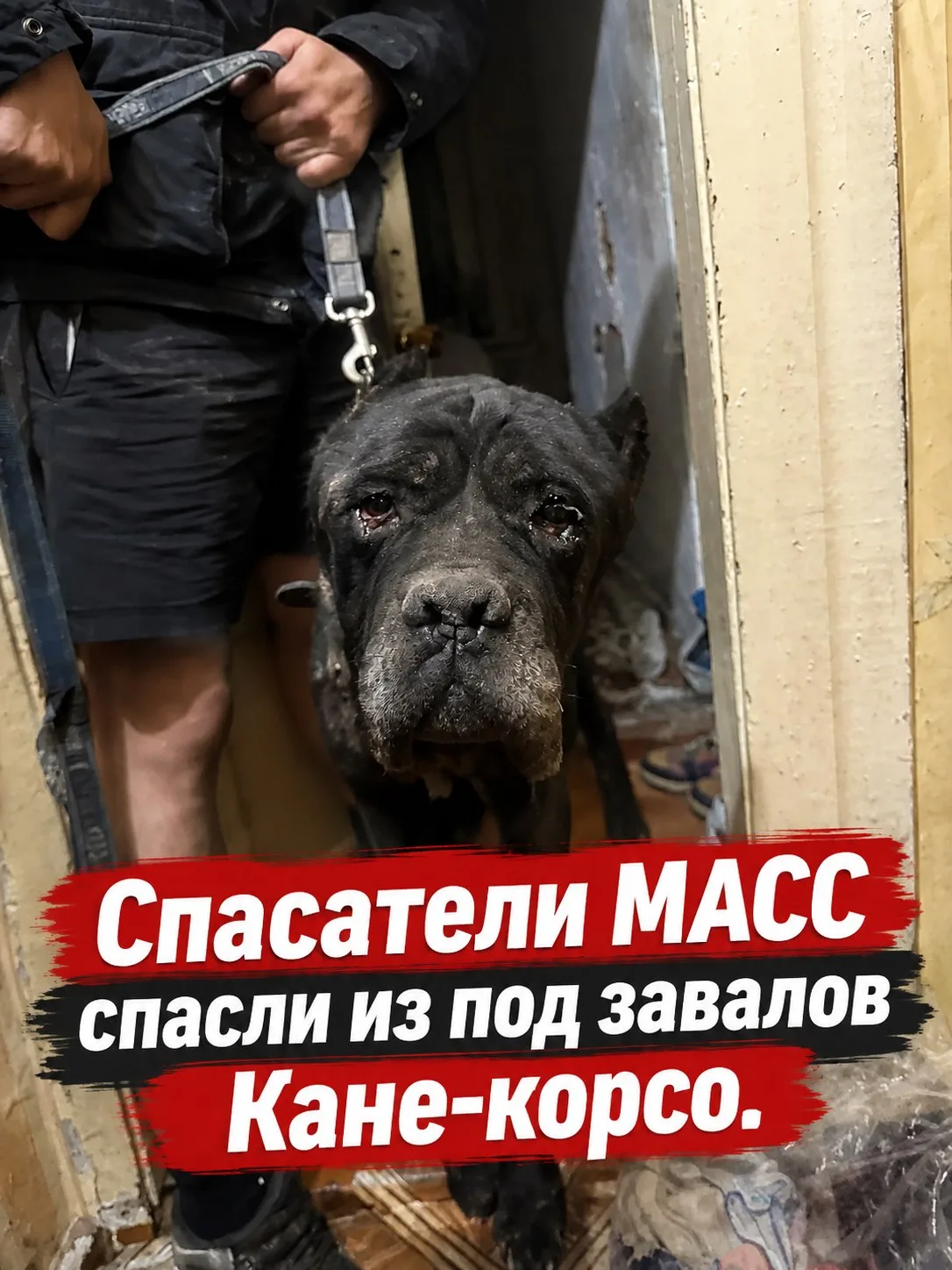 🚨Вчера спасатели муниципальной аварийно-спасательной службы  выезжали на улицу Стрелоч...