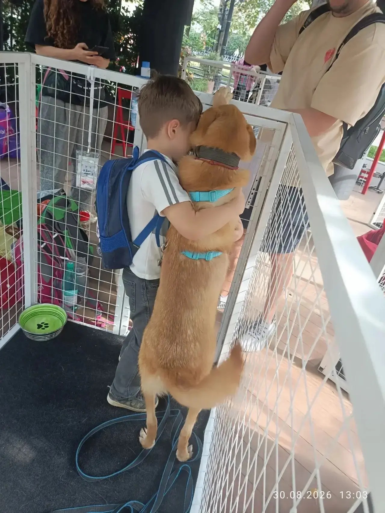 Это просто очень мило. Огонёк и милый мальчик, который пришел пообщаться ❤️