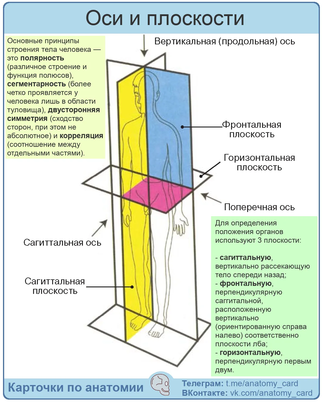 Оси и плоскости
