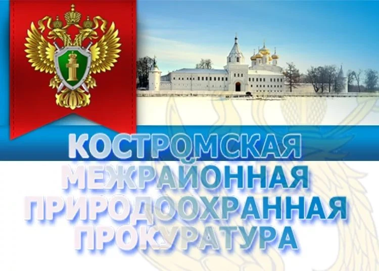 Костромская межрайонная природоохранная прокуратура информирует об изменении в законодательстве в ча