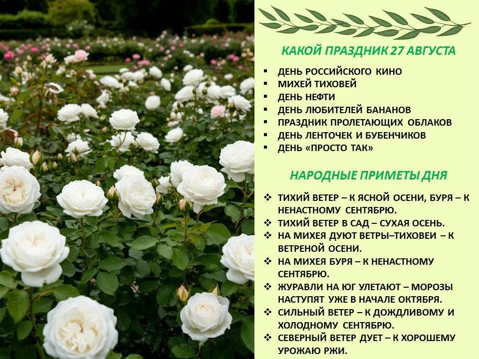 🔸️Сегодня 27 августа 2026 года, четверг