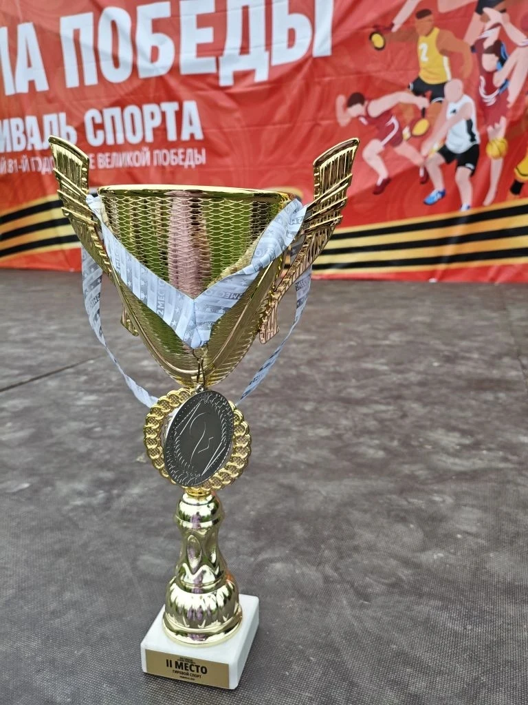 10 мая 2026 года на базе МБУ ФСК "Заречье" состоялся  IV ежегодный спортивный фестиваль "Сила Победы
