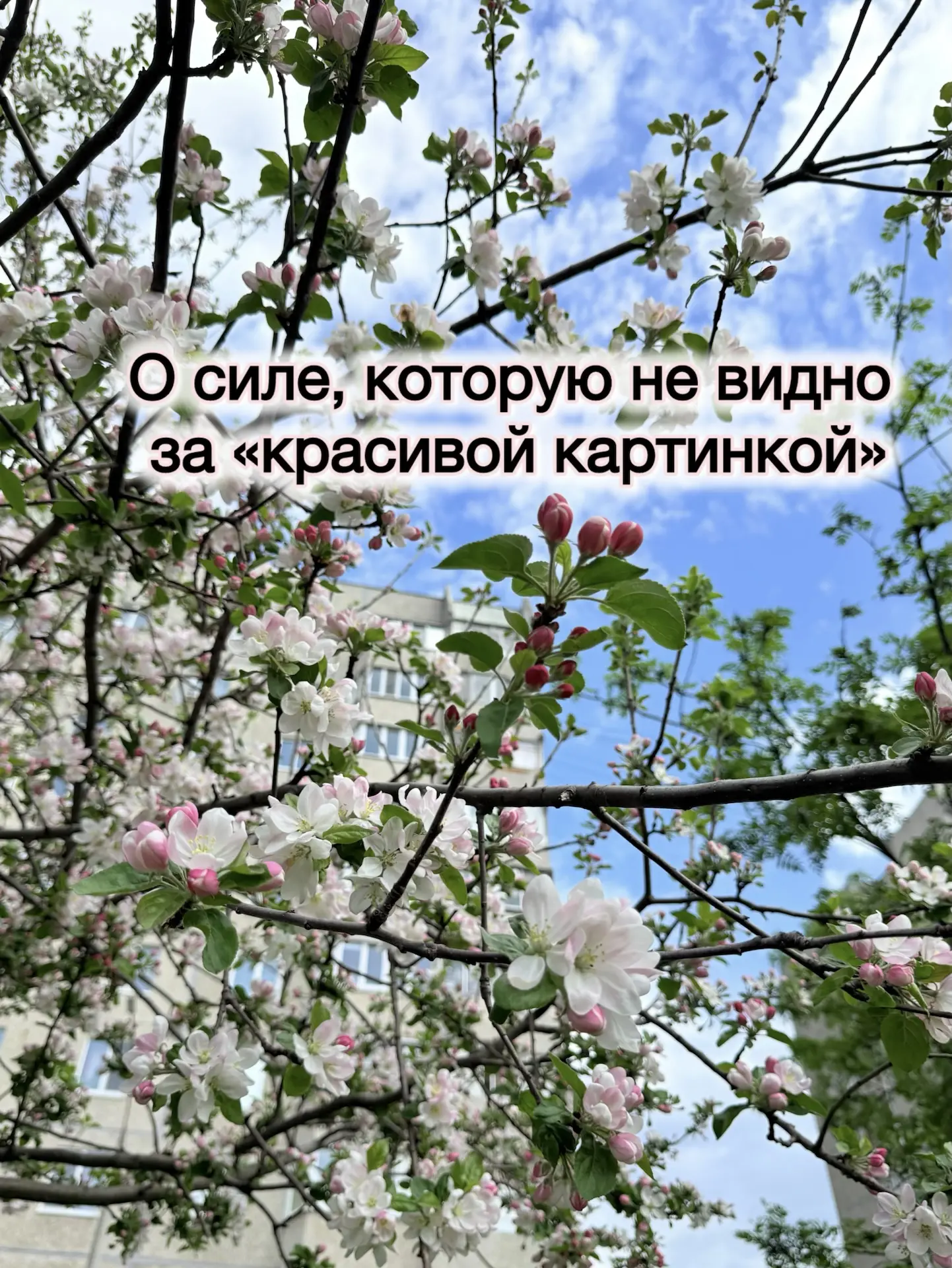 «Как же хорошо, что вы тогда съехали!» — эту фразу я слышу всю последнюю неделю.