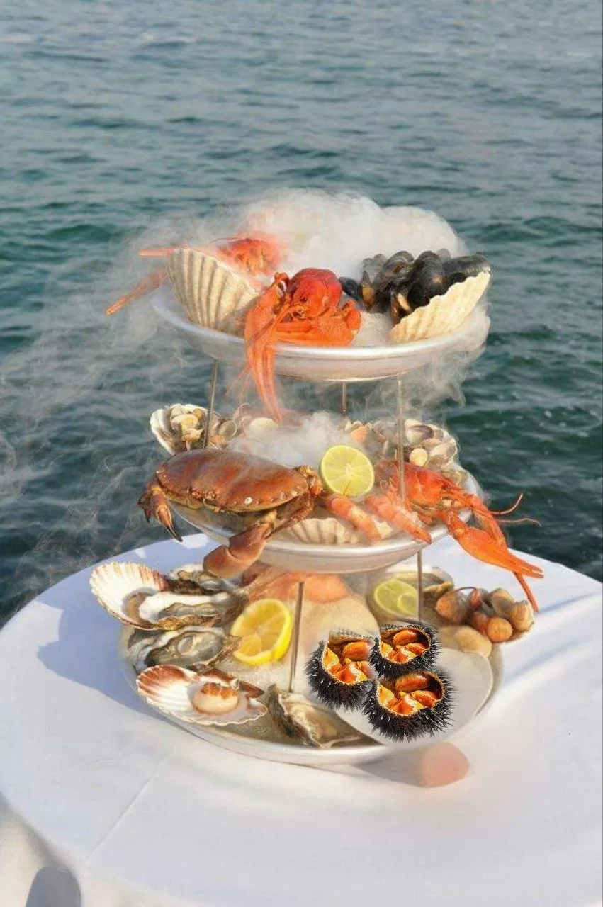 🌊 Лови волну лета!