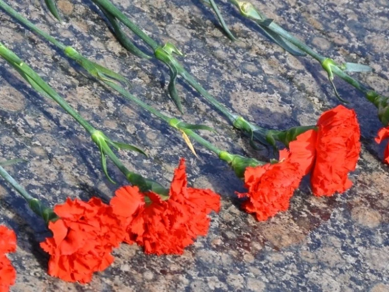 🕯️На территории Ленинского округа 22 июня пройдет цикл мероприятий, посвященных Дню па...