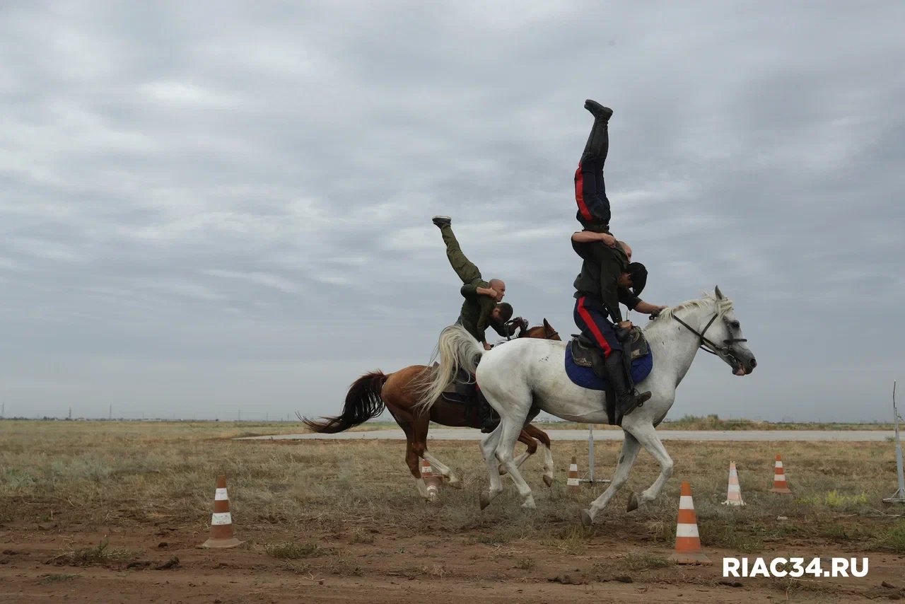🏇 11 октября в Дубовке состоится праздник, посвящённый традиционному казачьему обряду ...