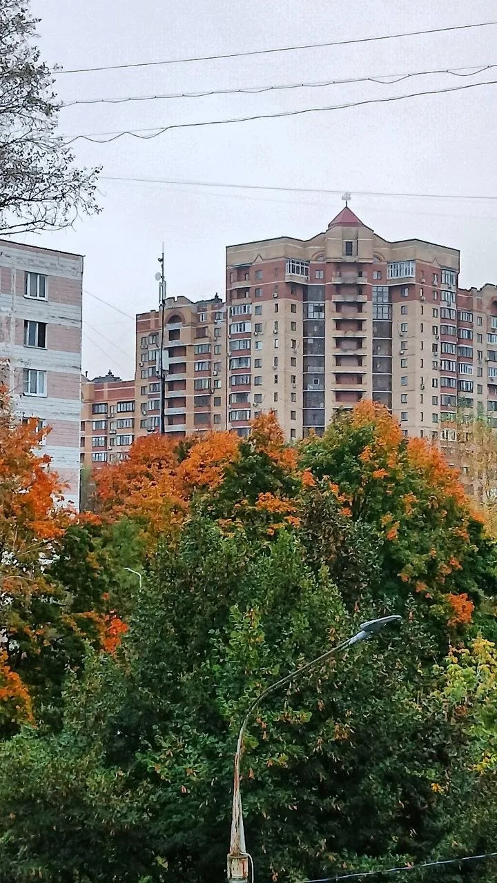 Доброе утро, Долгопрудный🧡