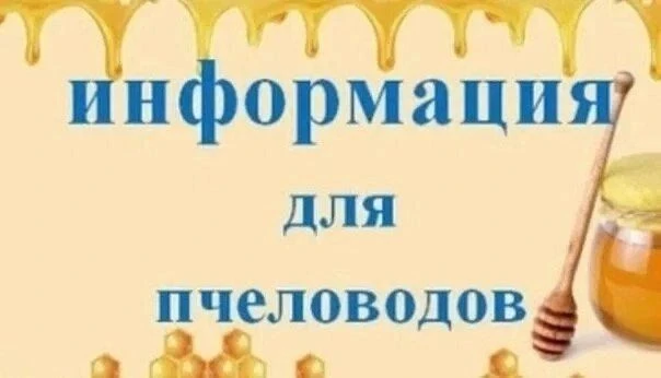 Уважаемые жители села Чирикеево!
КФХ "Волынщиков Н.Н" с 19.06.2026 по 25.06.2026 с 9:00-19:00ч. план