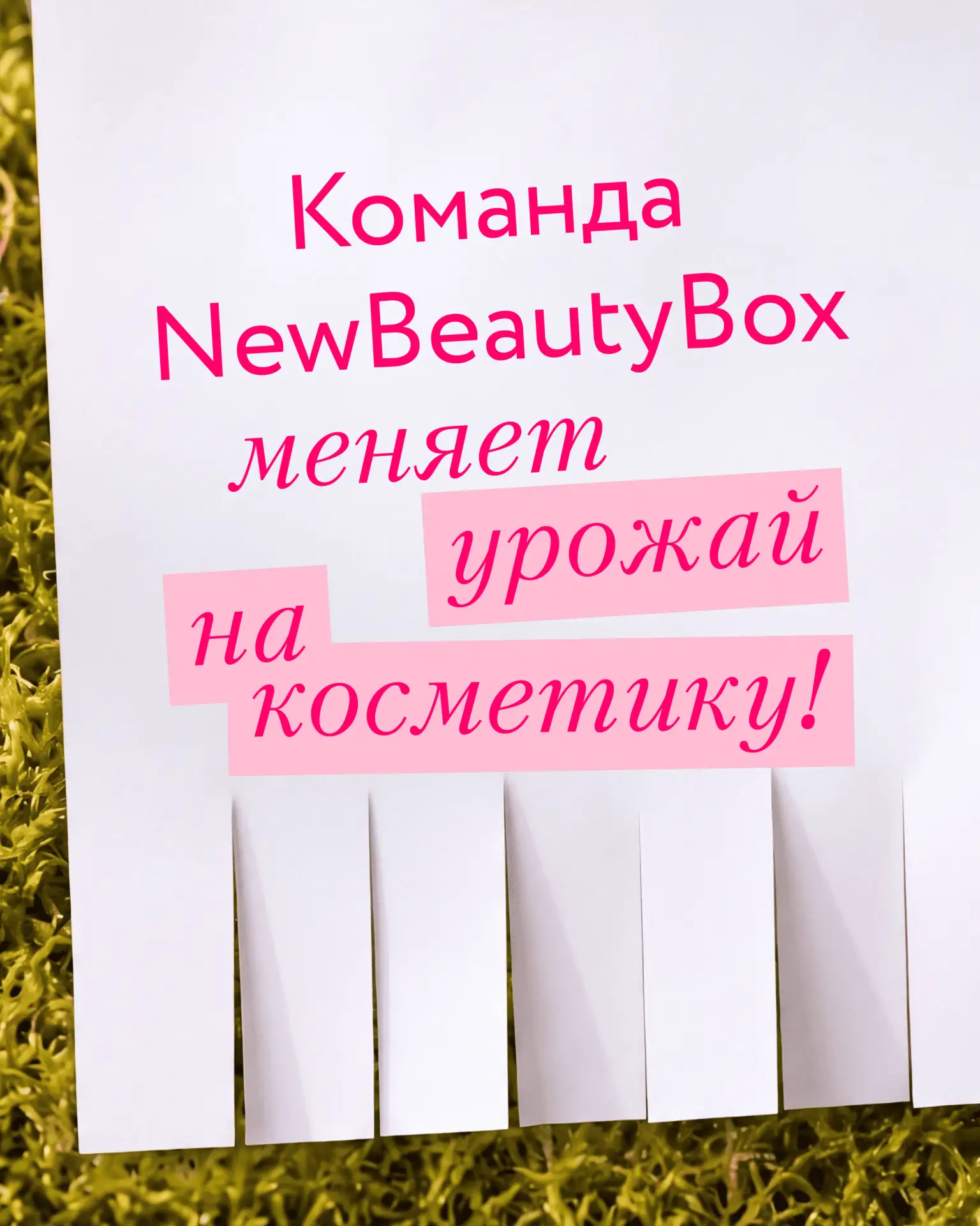 Кабачок в добрые руки 🧡