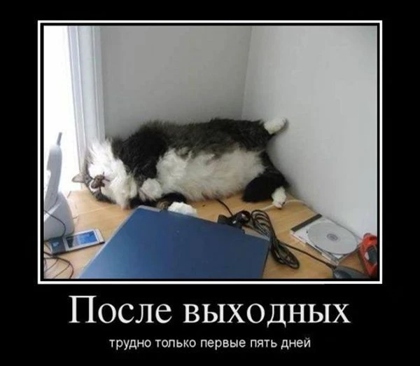 Всех с началом новой прекрасной рабочей недели!