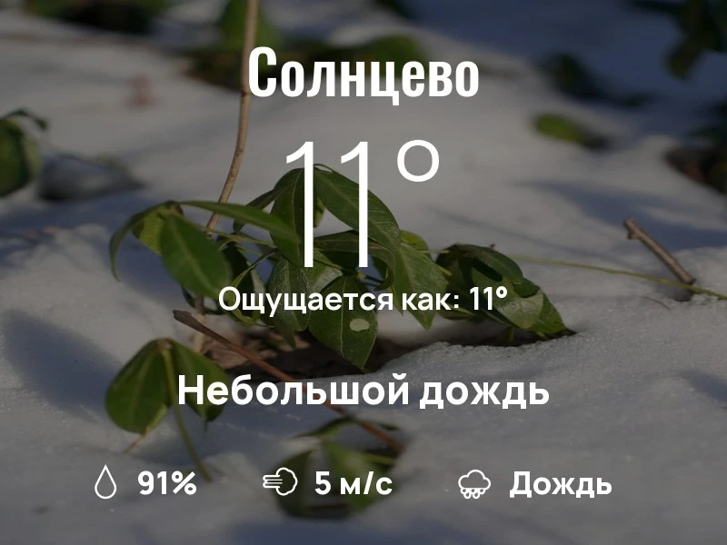 Что с погодой в Солнцево?