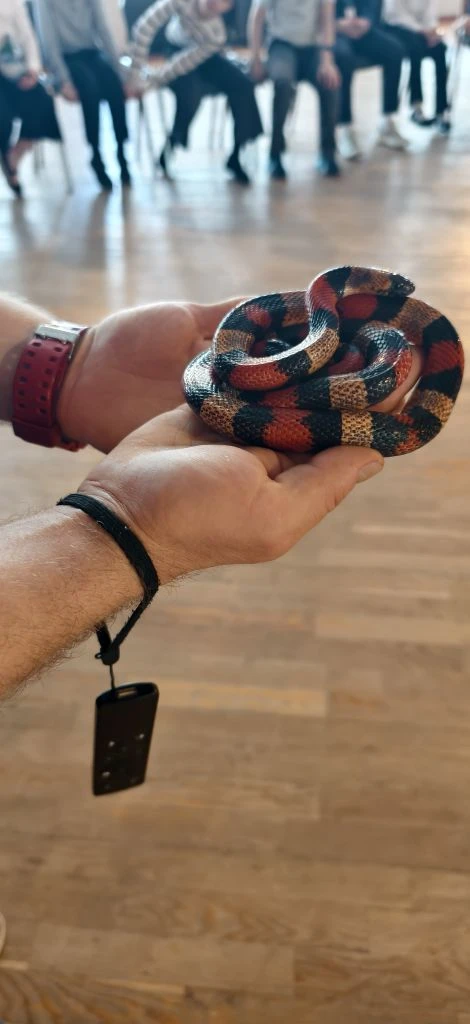 ИНТЕРАКТИВНЫЕ ЗАНЯТИЯ  🦎 Для учеников нашей школы прошла увлекательная интерактивная программа «Чуде