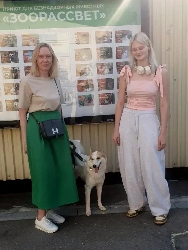 #Выпускники_Доринвест: 14 животных приютов обрели хозяев! 🐈🐕

🆕 У нас замечательные новости о при