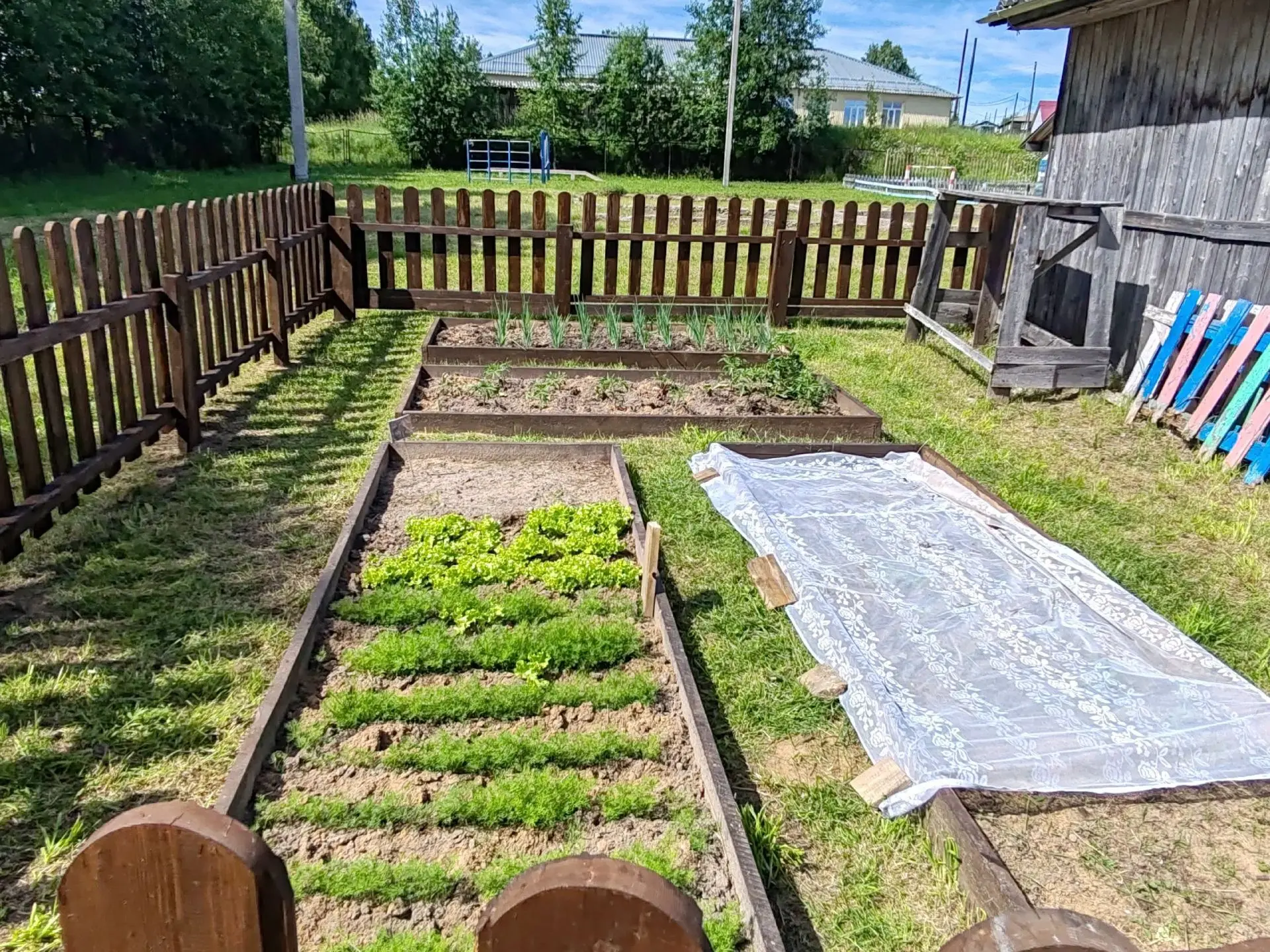 🌱Посадили огород, посмотрите, что растёт!
Будем мы ухаживать, будем поливать💦, 
Будем за росточкам