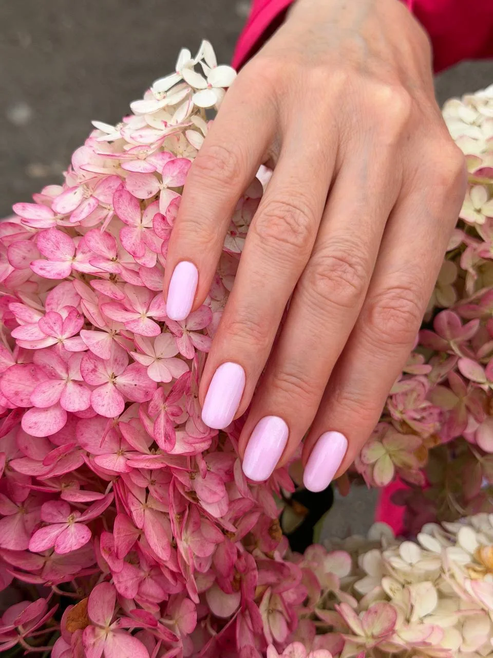 Нежный розовый 🌸